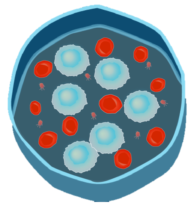 STARS GAME InveSTigating As Researchers at School is a GAME InveSTigating As Researchers at STARS GAME InveSTigating As Researchers at School is a GAME InveSTigating As Researchers at